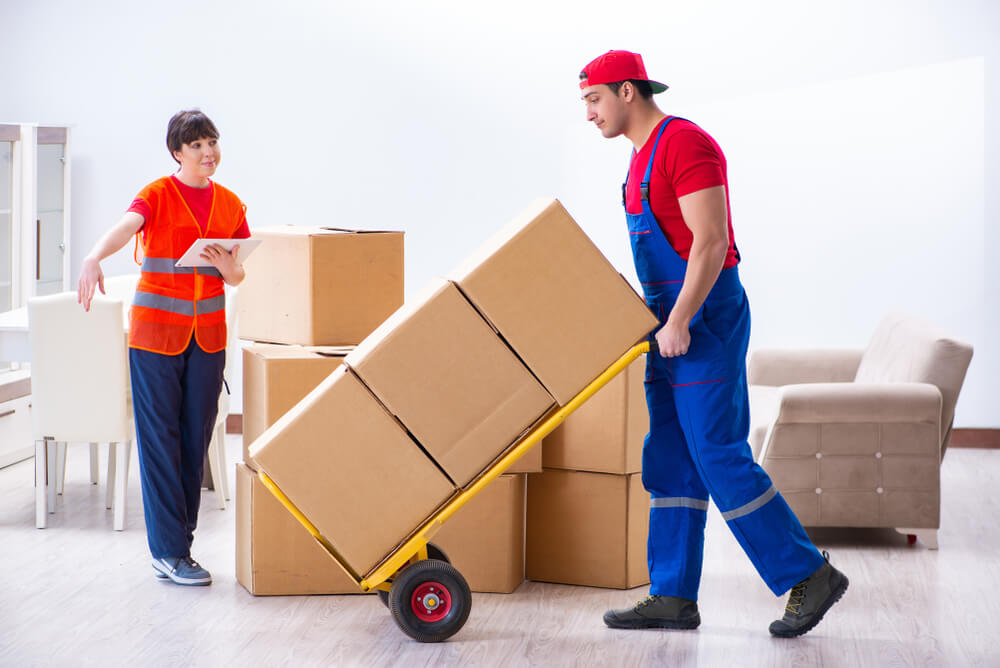 Waverly Packing Professionals