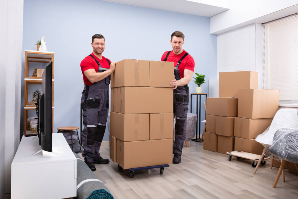 Office Relocation Experts