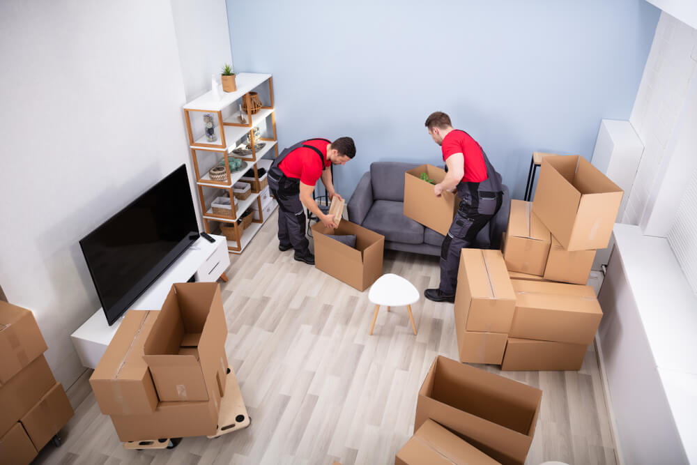 Packing Items for Moving in Boxes