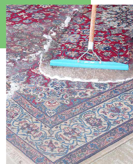 Carpet Care