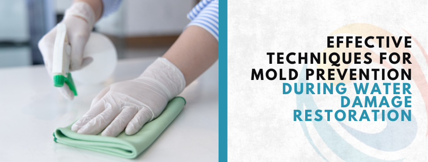 techniques for mold prevention
